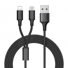 Lightning with Type-C 2 in 1 Cable