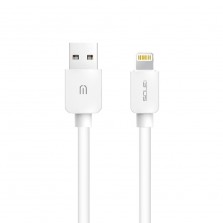 Lightning USB Cable