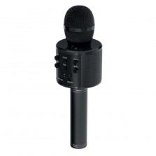 Wireless Microphone Hi-Fi Speaker